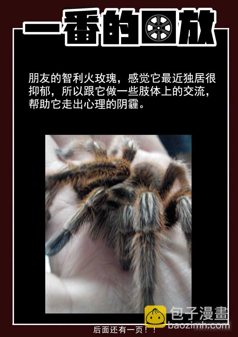 50死，受害者的报恩