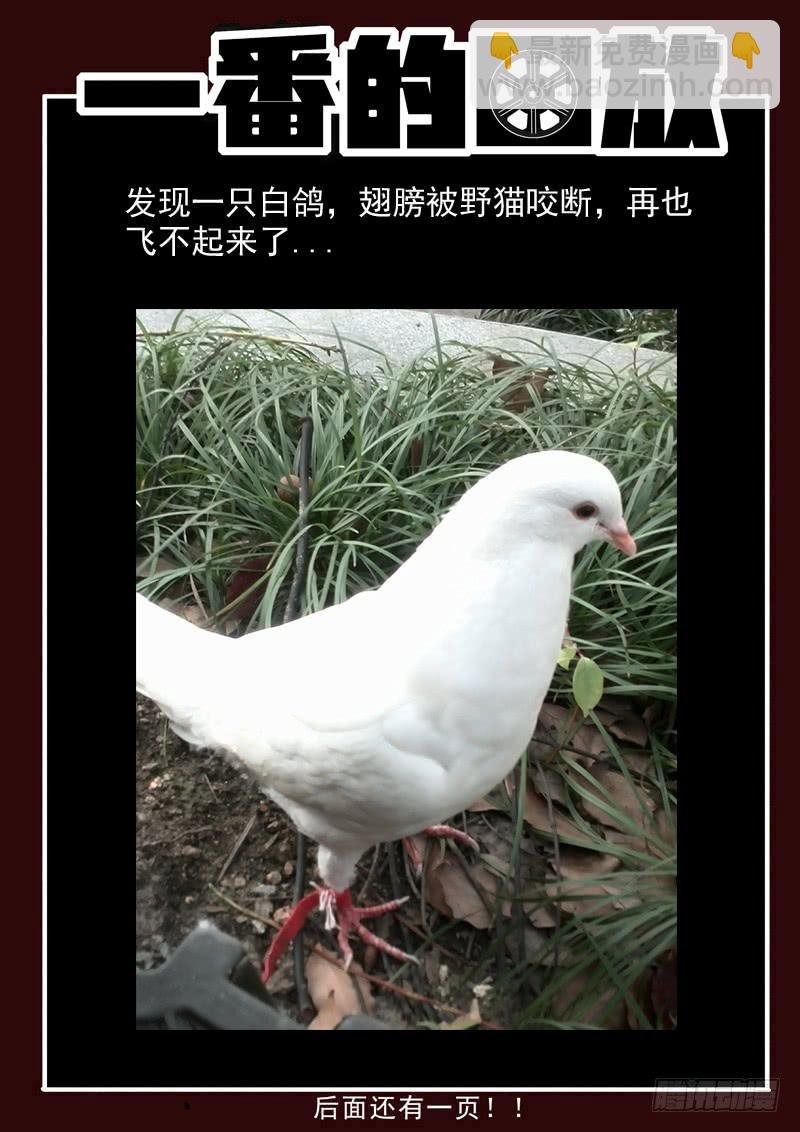 71死 能力恢复