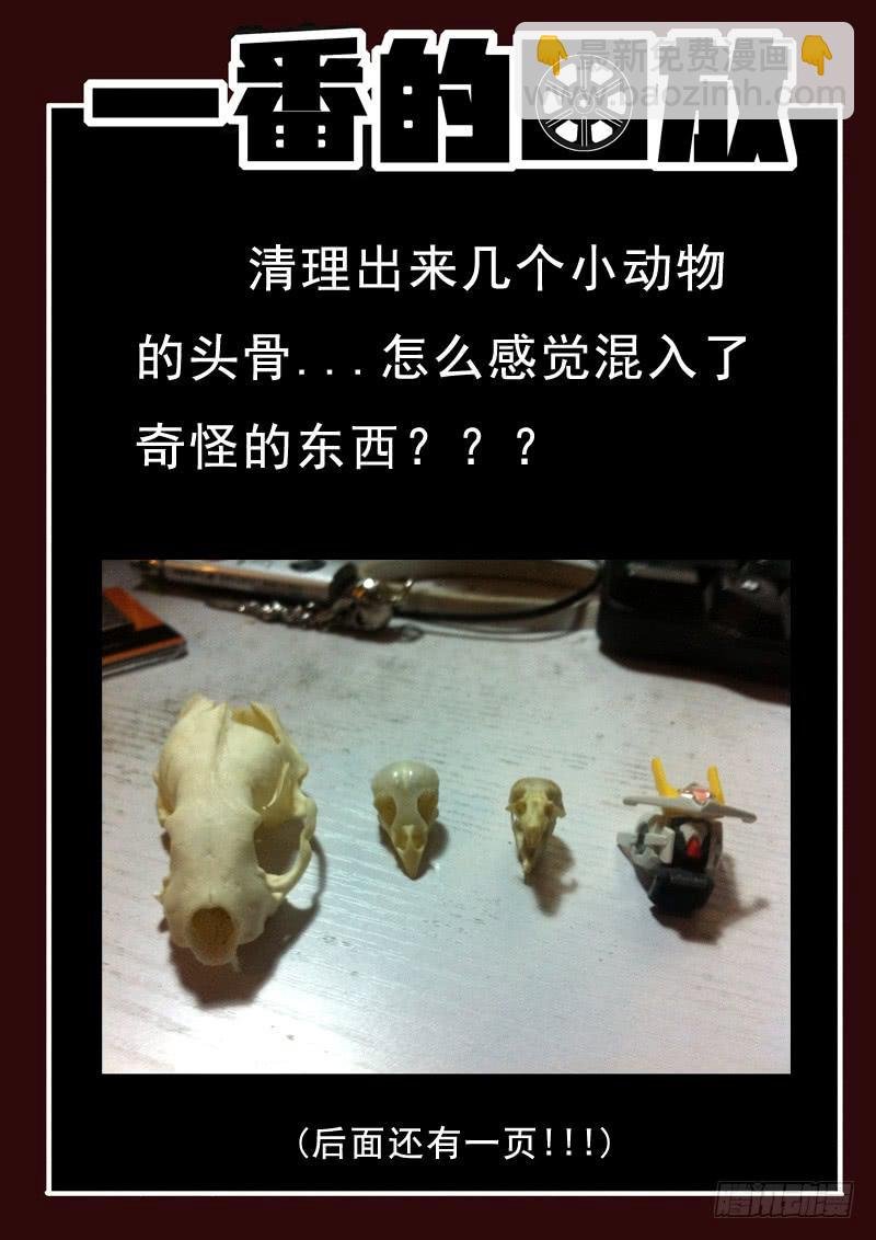 第8死 阴谋败露