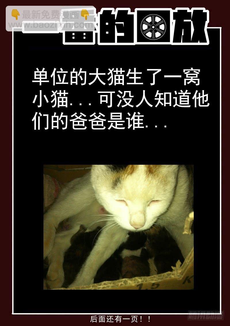 82死 重逢