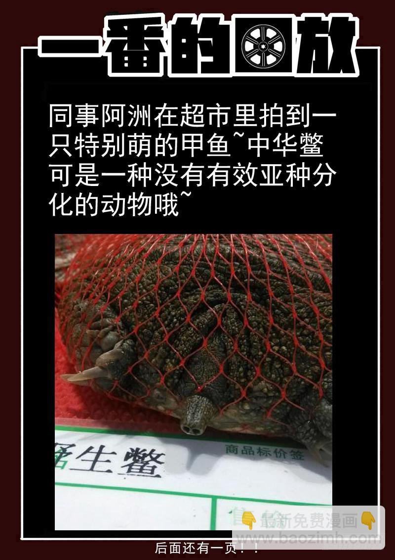 94死 神经紊乱