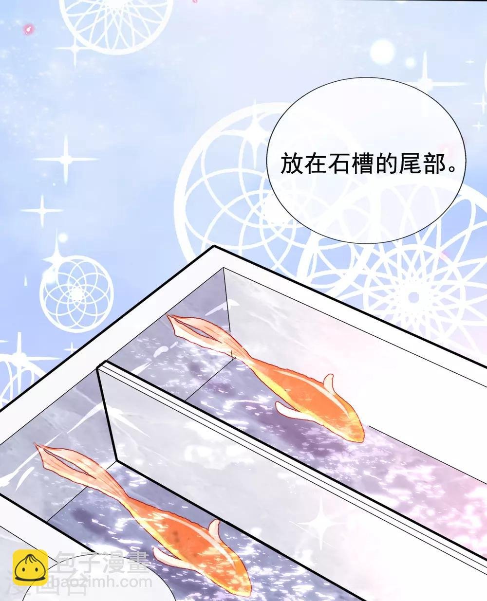 第33话 斗鱼赌局，开始！