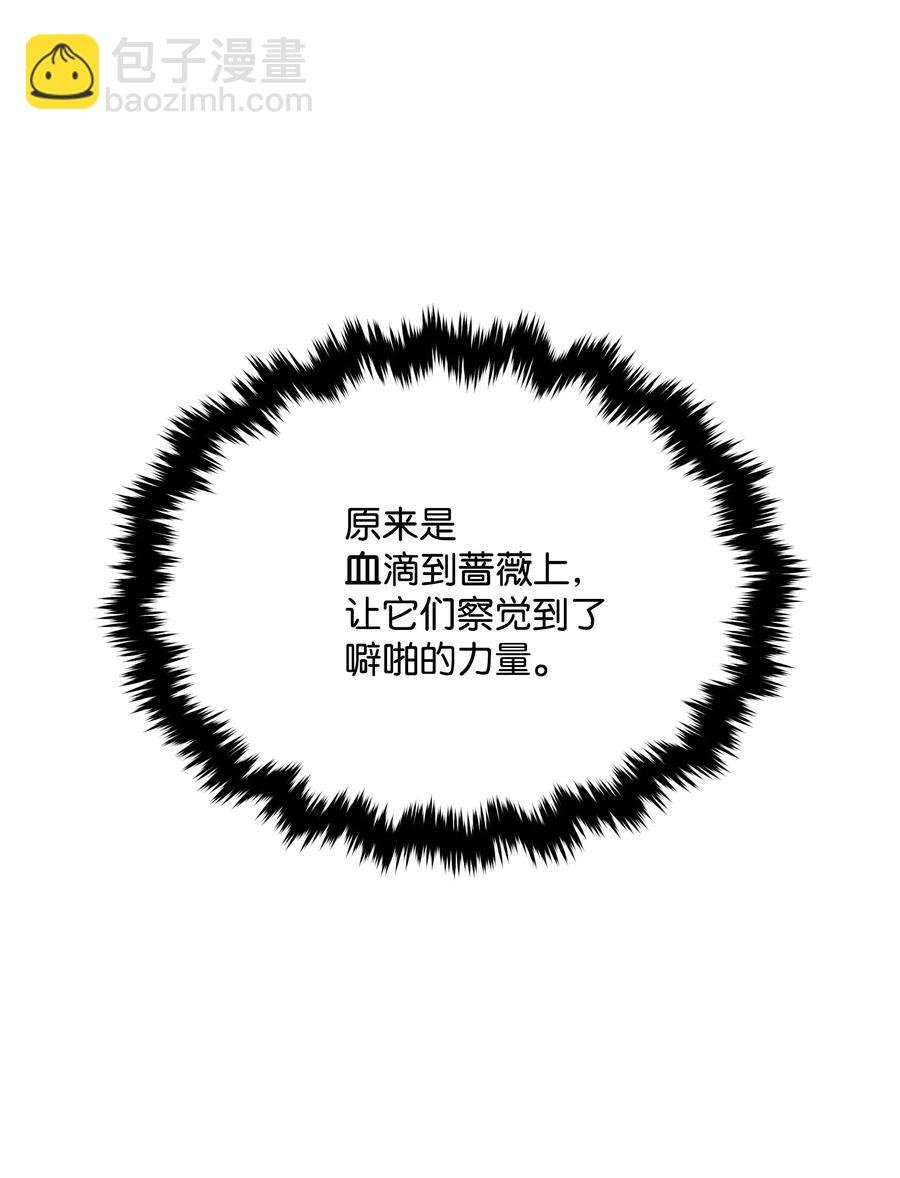 014 神奇花园