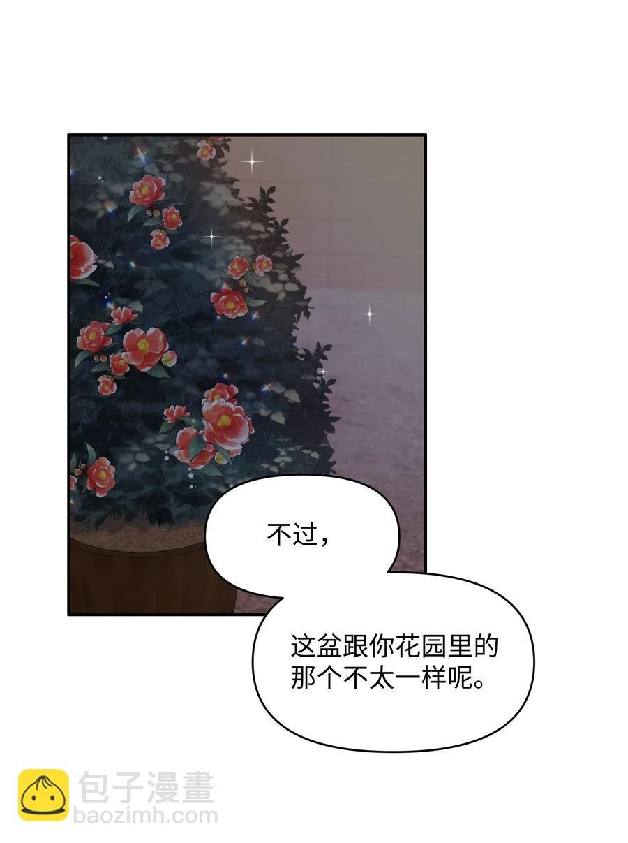016 男主BUFF