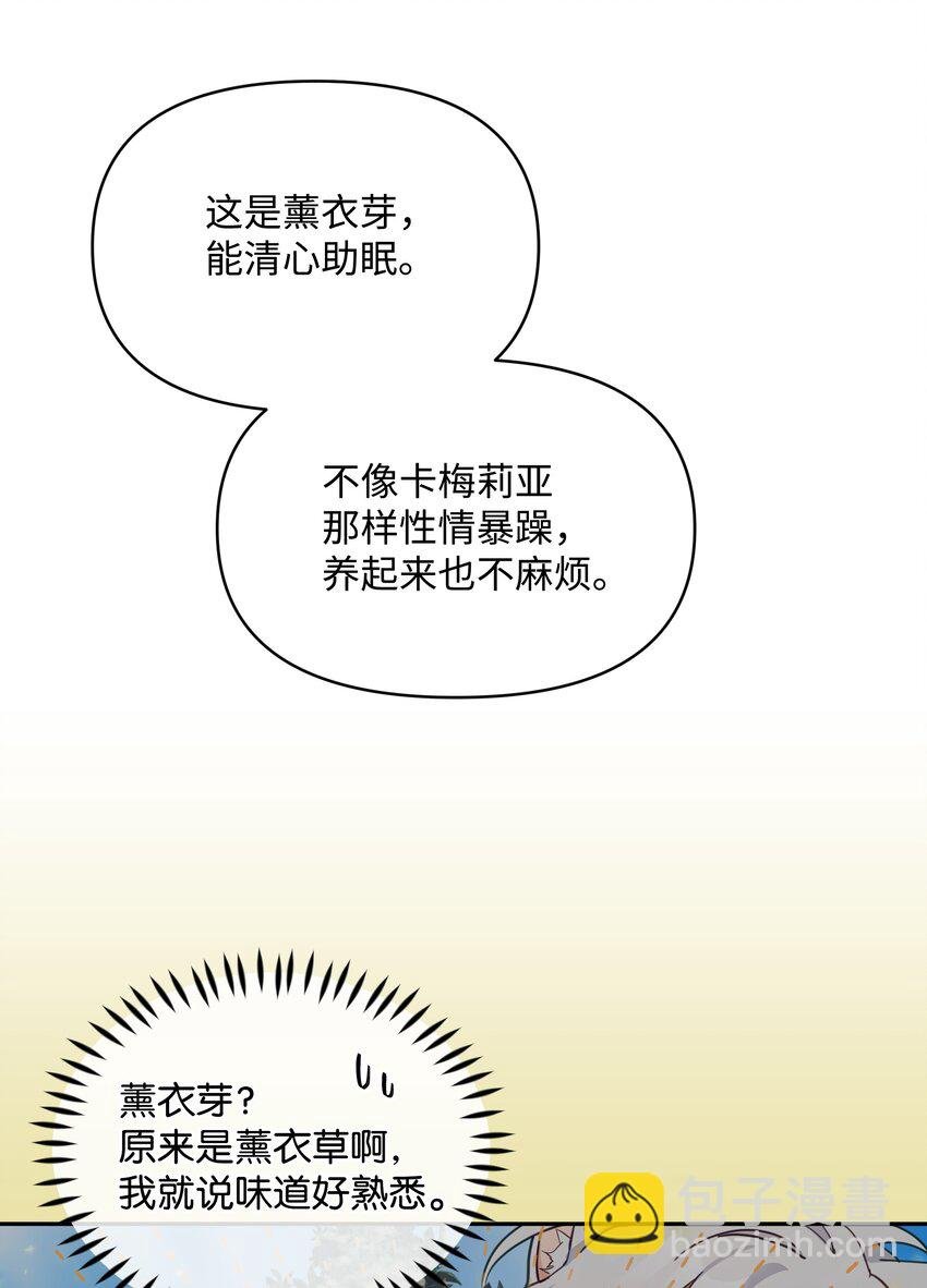 055 跟莱弗哥取经