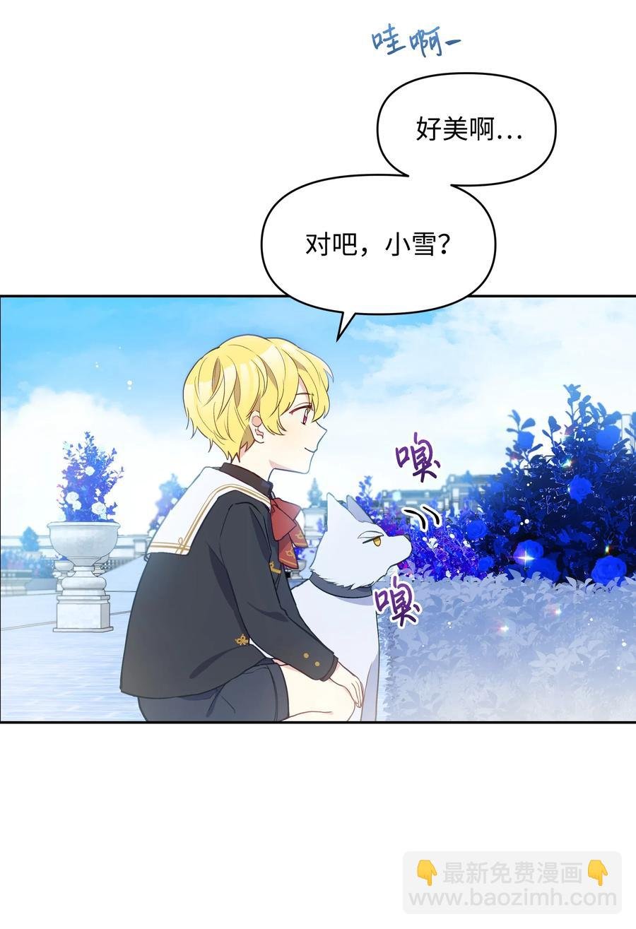 009 不一样了