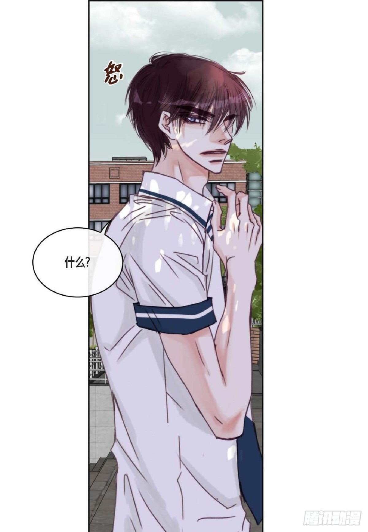 020.到此为止吧