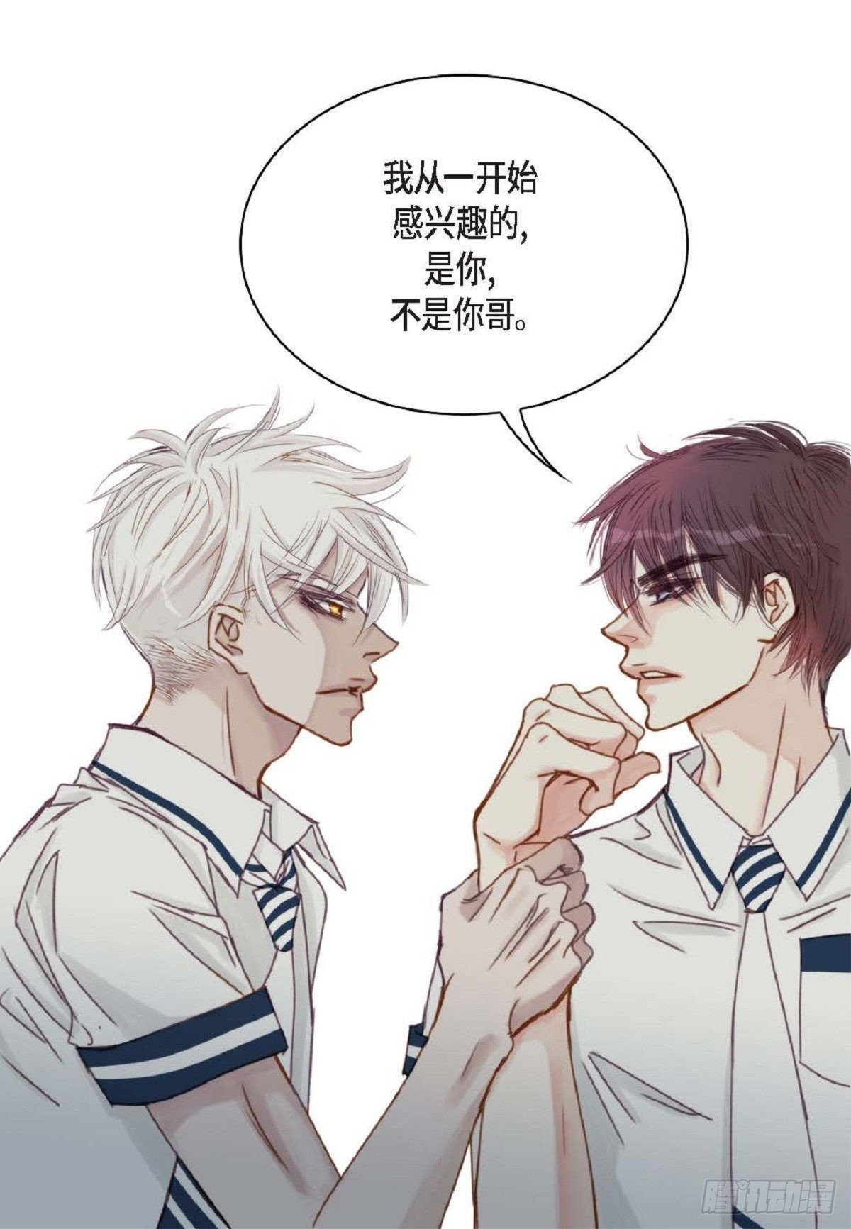 020.到此为止吧