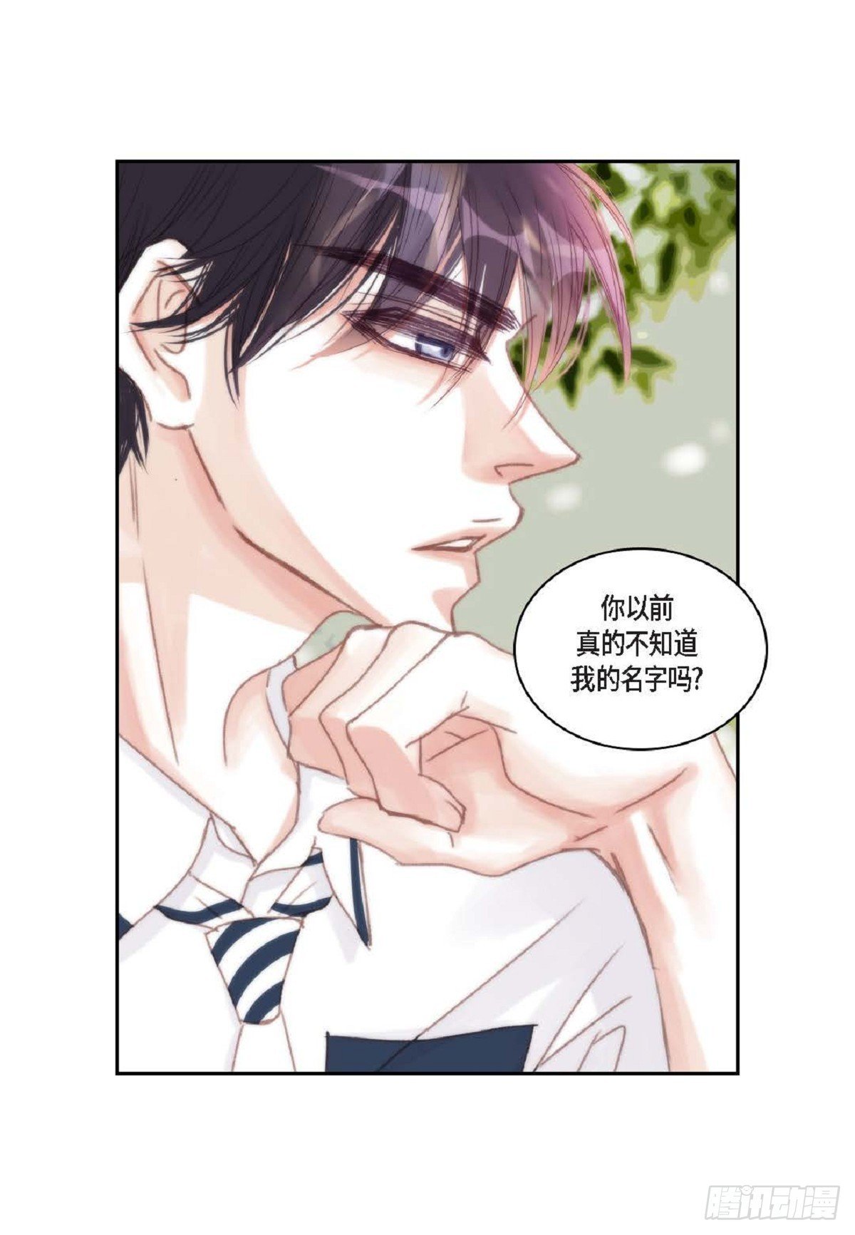 37 我就算了吧
