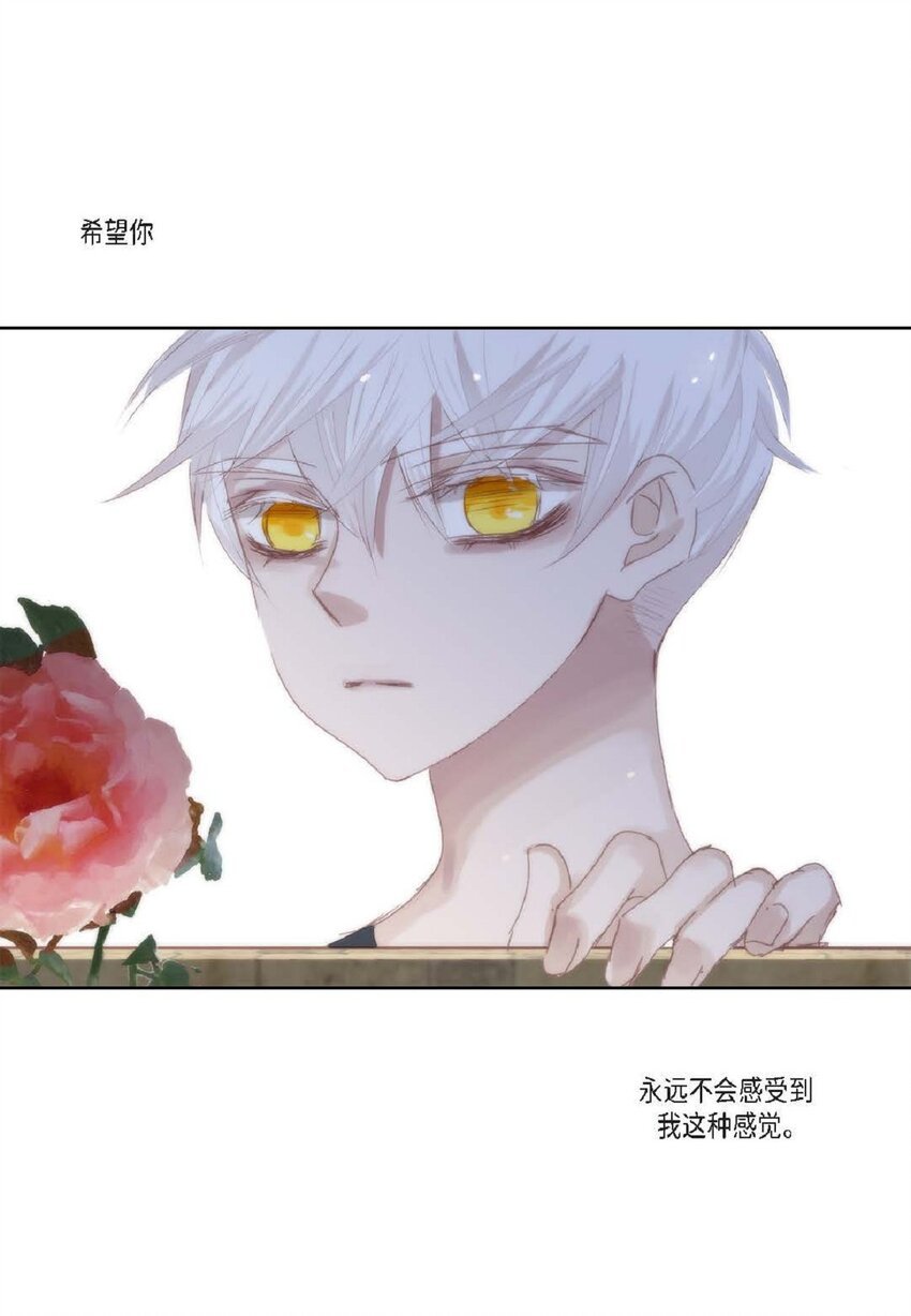 59 有宽敞草坪的大宅子