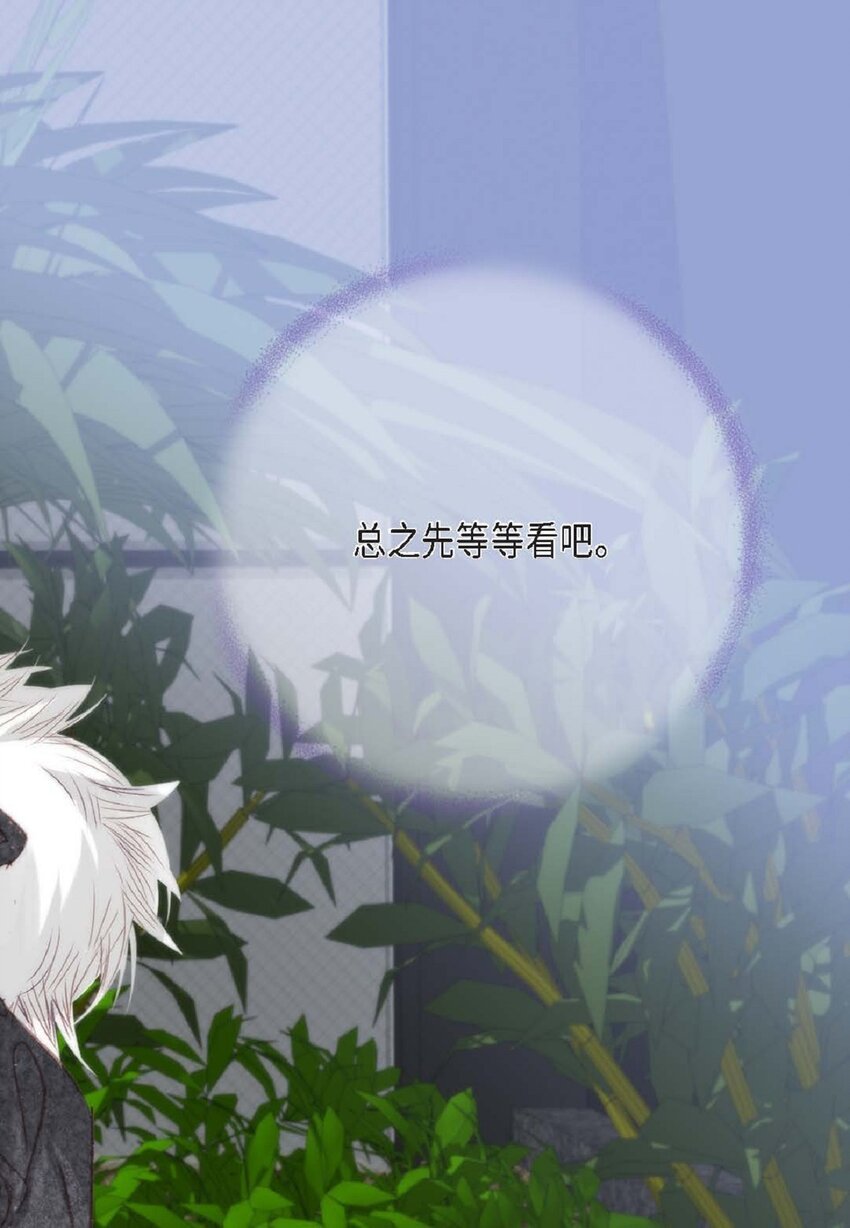 65 总之先等等看吧