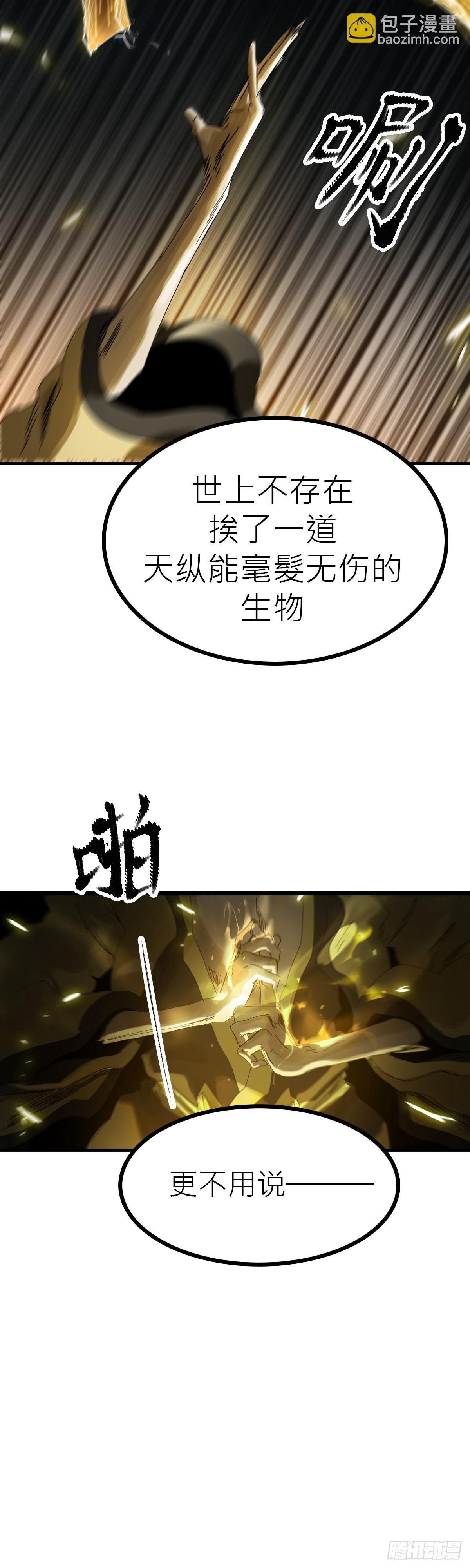 钟山之主