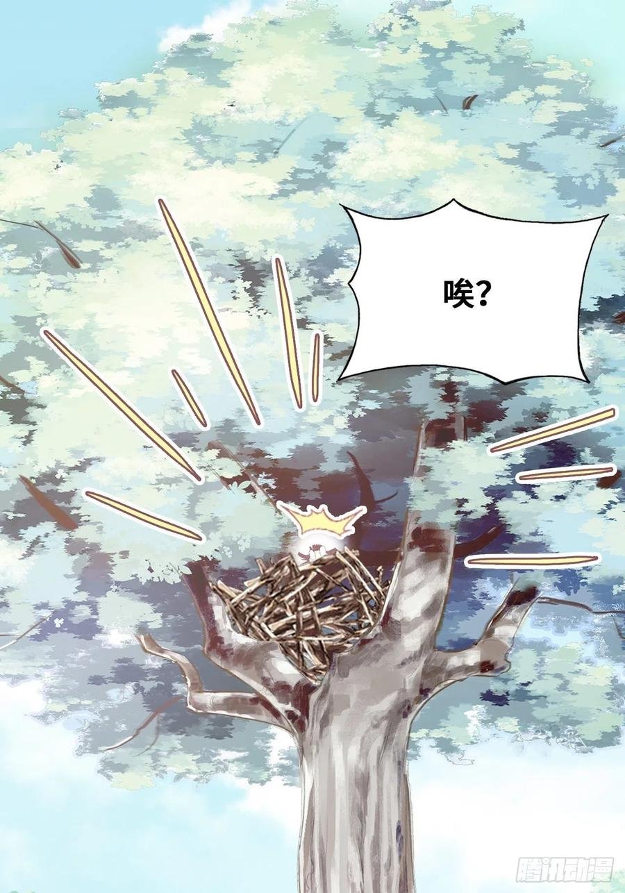 55、告白