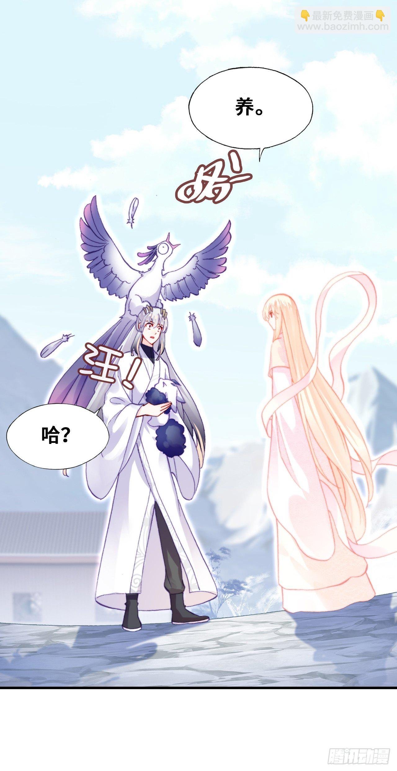 70、仙与凡