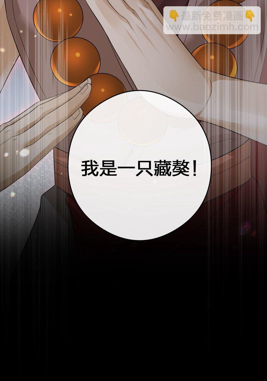 020 单身汉的酸奶