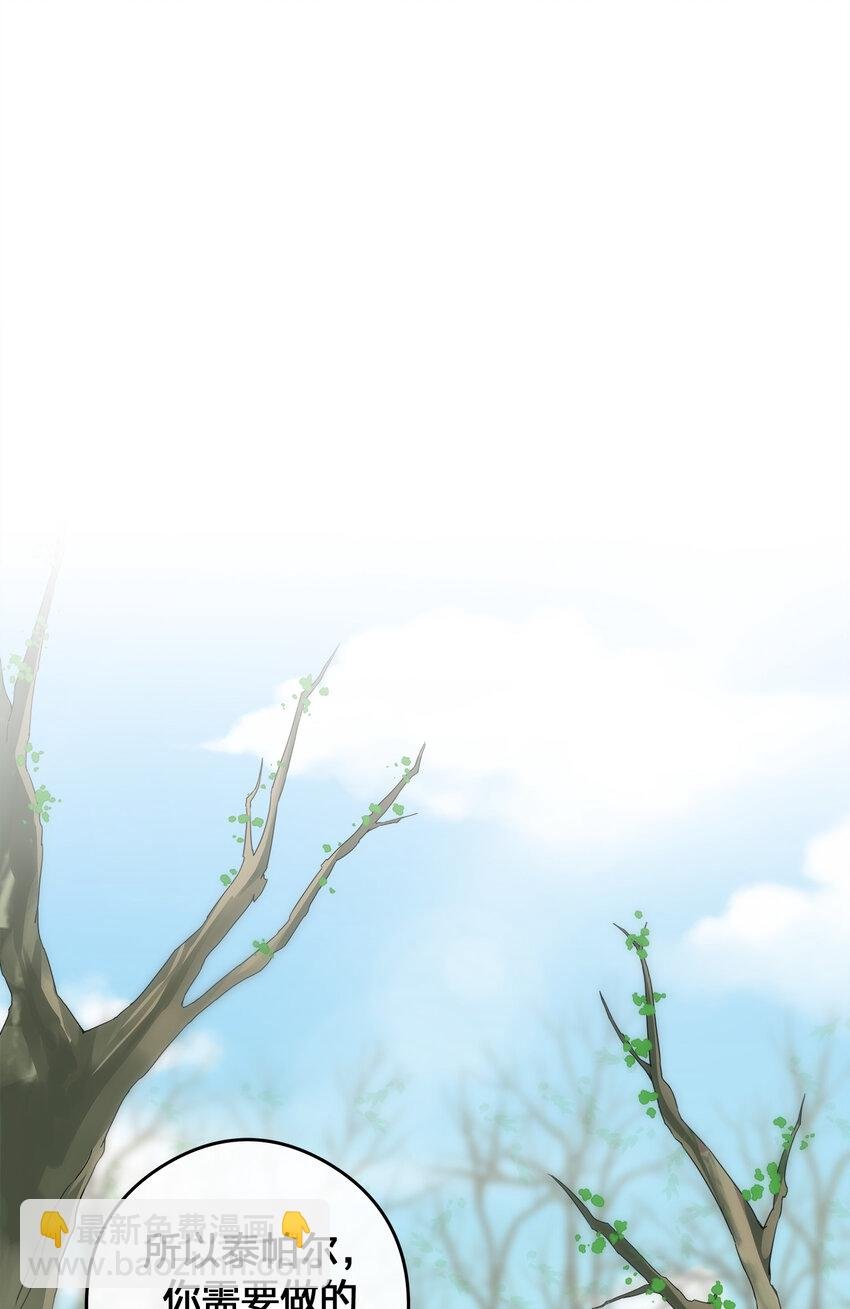 003 等级制度