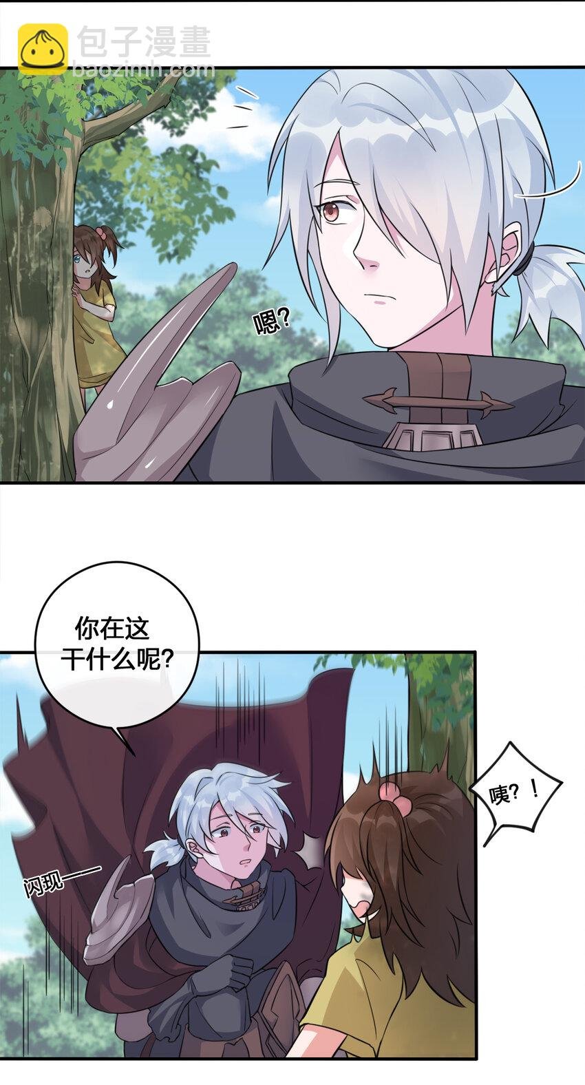 004 划分区域