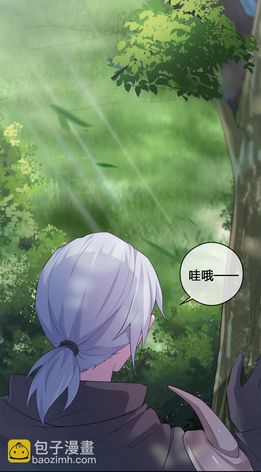 004 划分区域