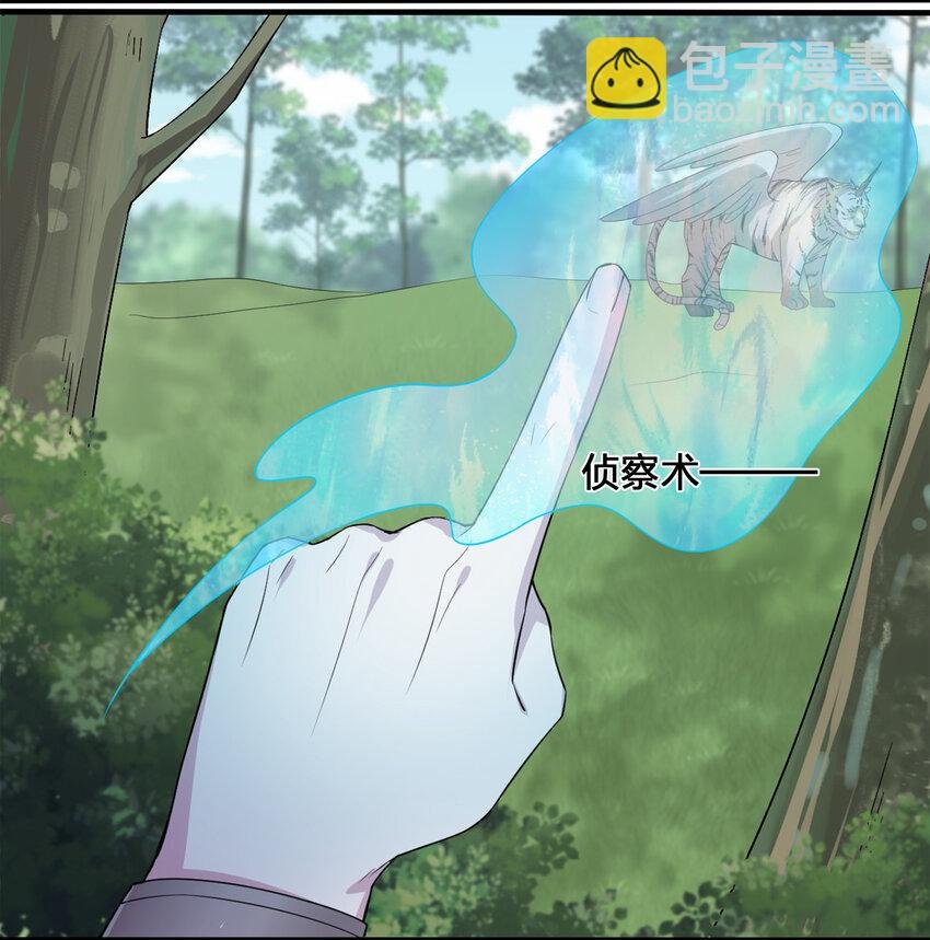 004 划分区域