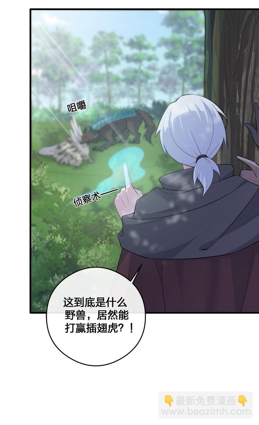 004 划分区域
