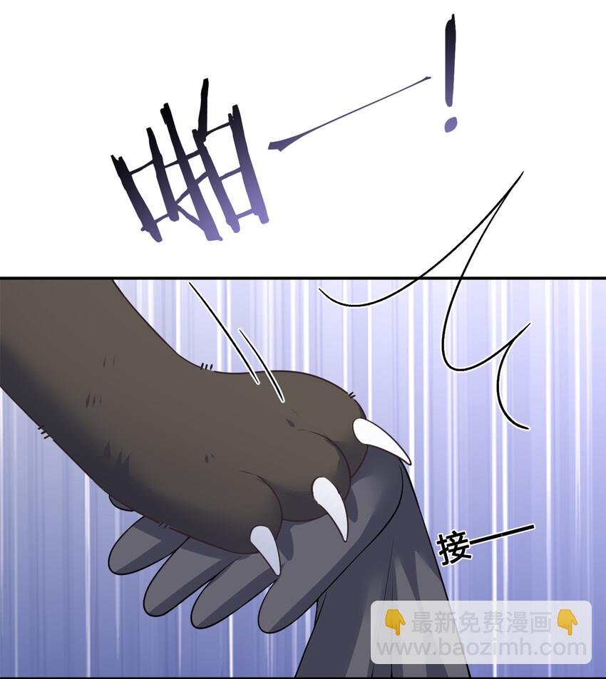 004 划分区域
