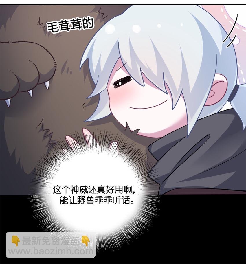 004 划分区域