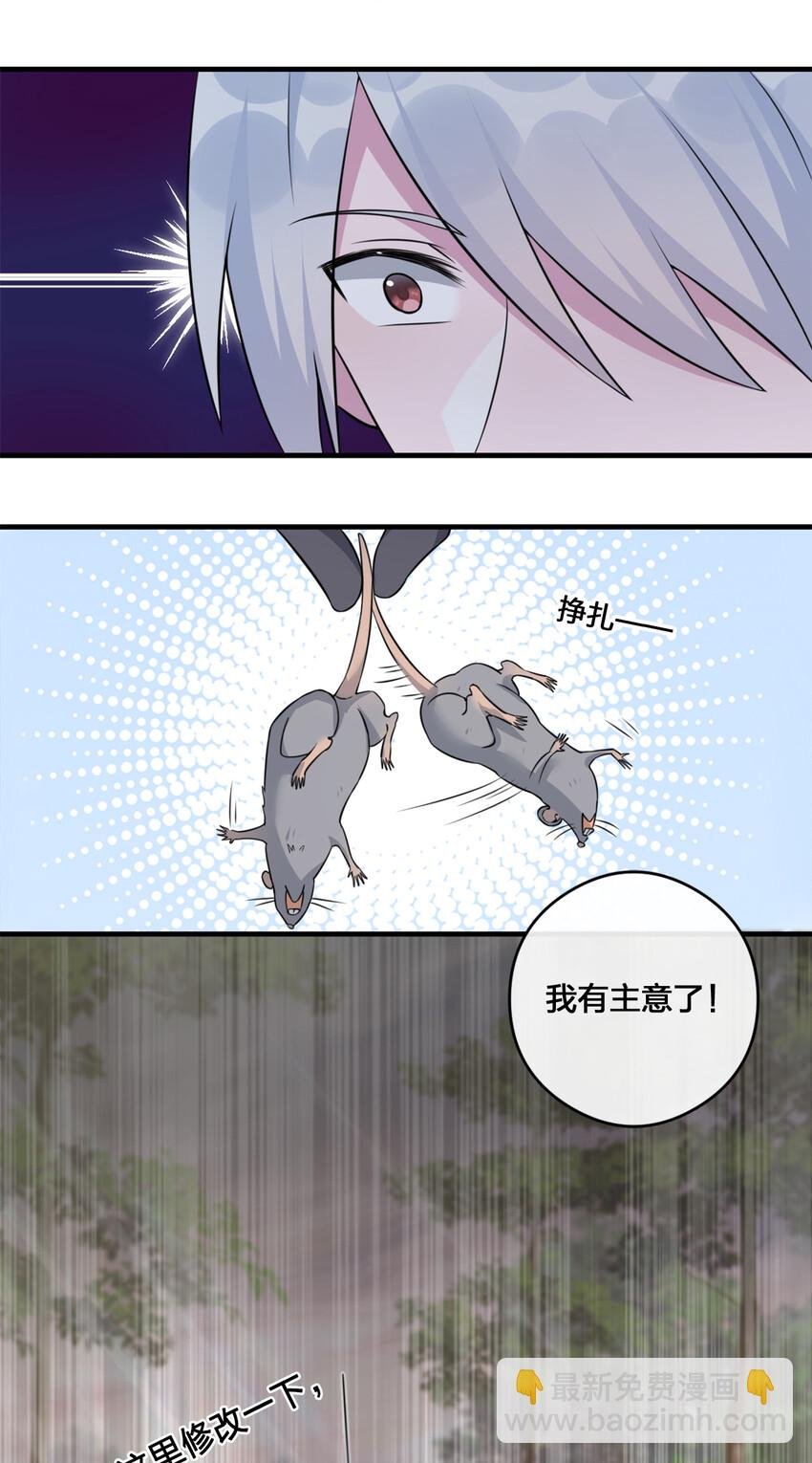 004 划分区域