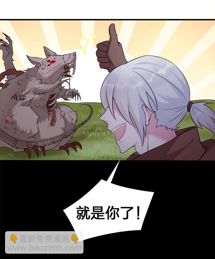 004 划分区域