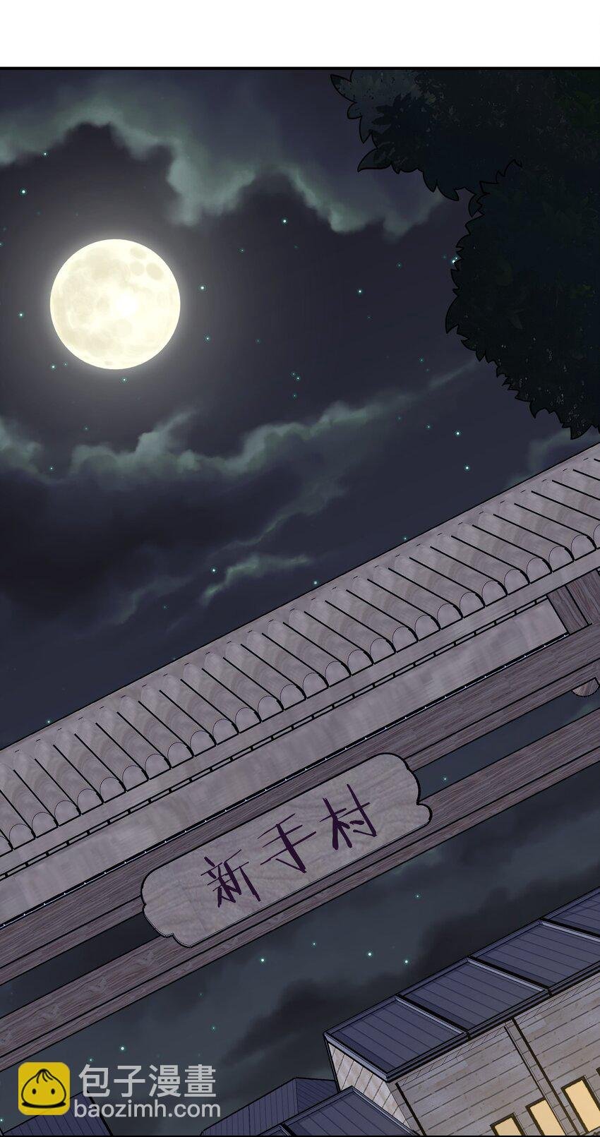 070 天上掉下个女刺客