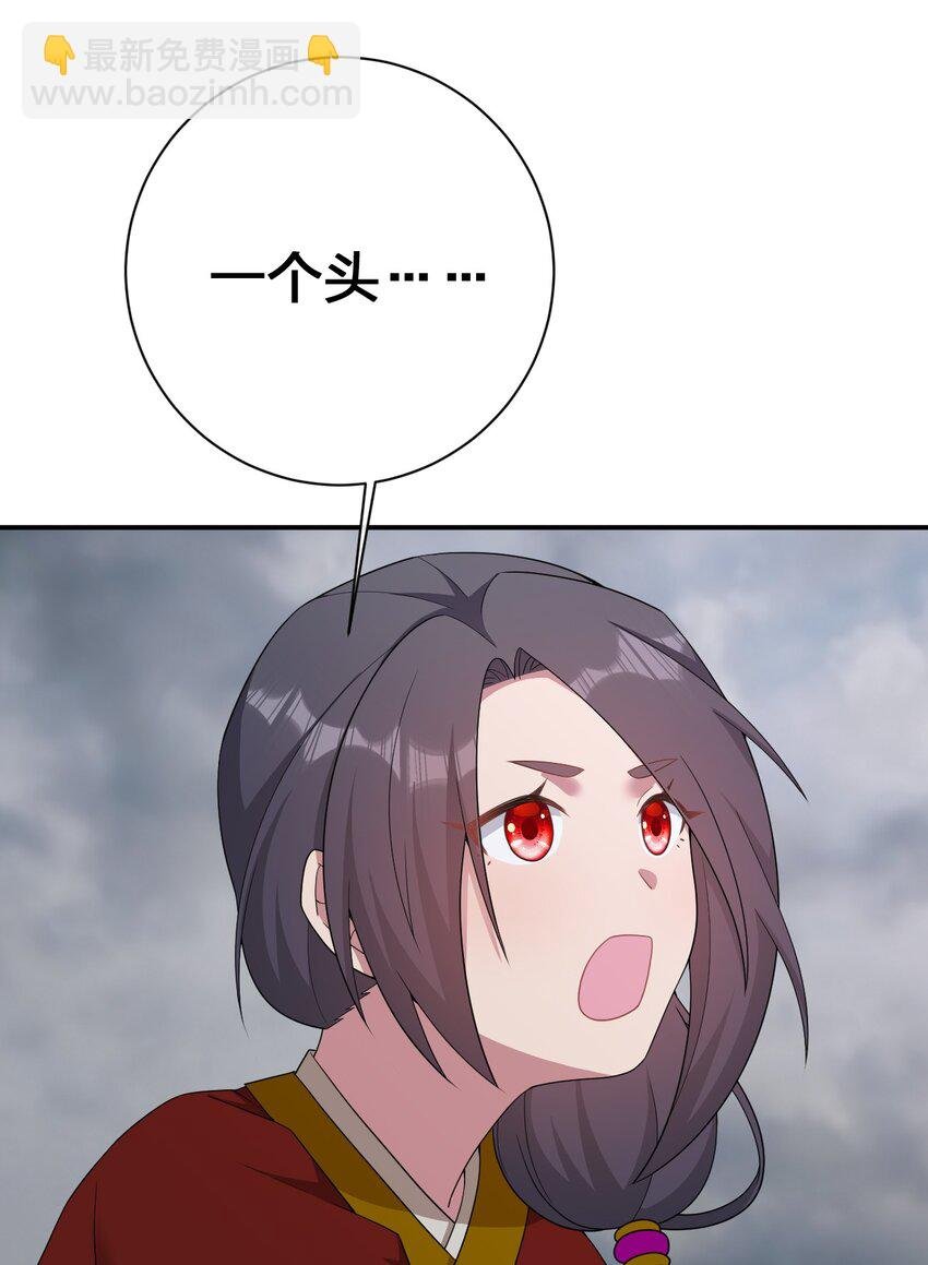 070 天上掉下个女刺客