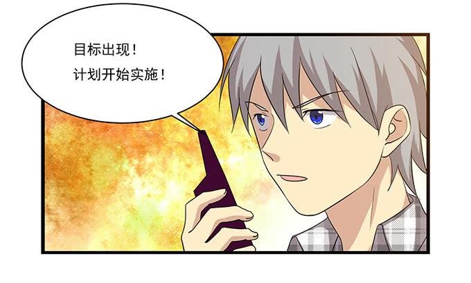 求婚大作战（下）