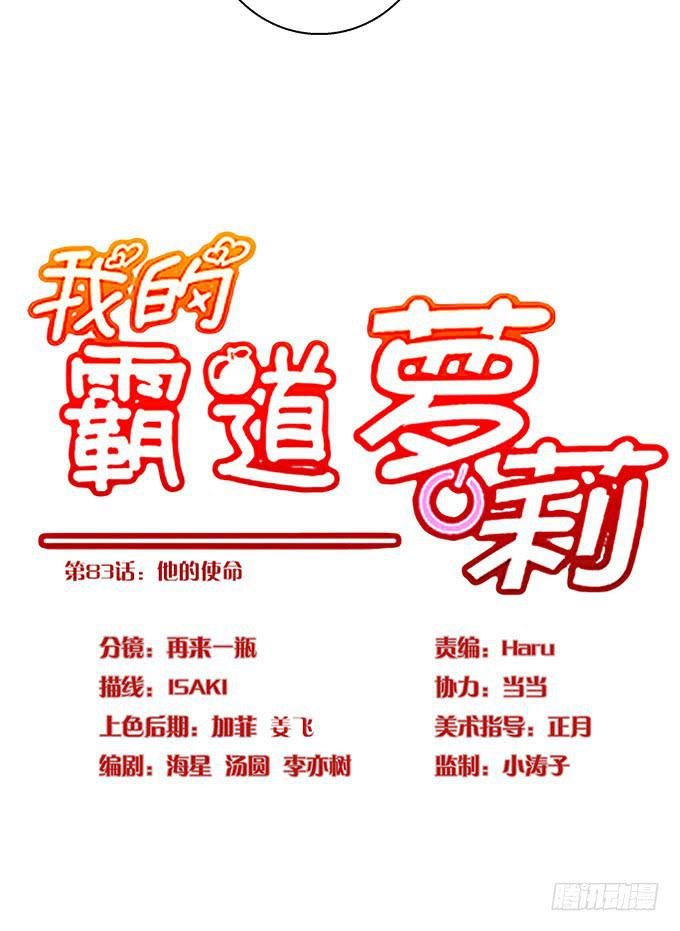 他的使命