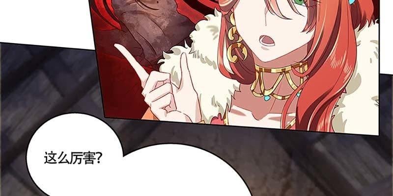 化魔录到底是什么？