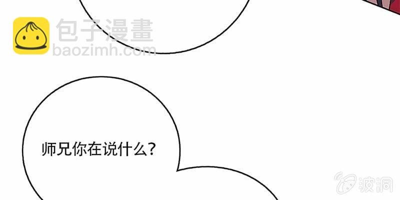 道侣原来不是夫妻？！