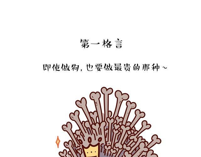 第14 单身狗须知的几条格言！