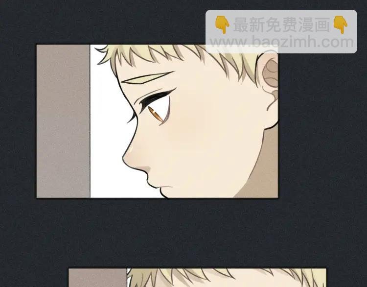 第79话 你是我的小盆栽 番外