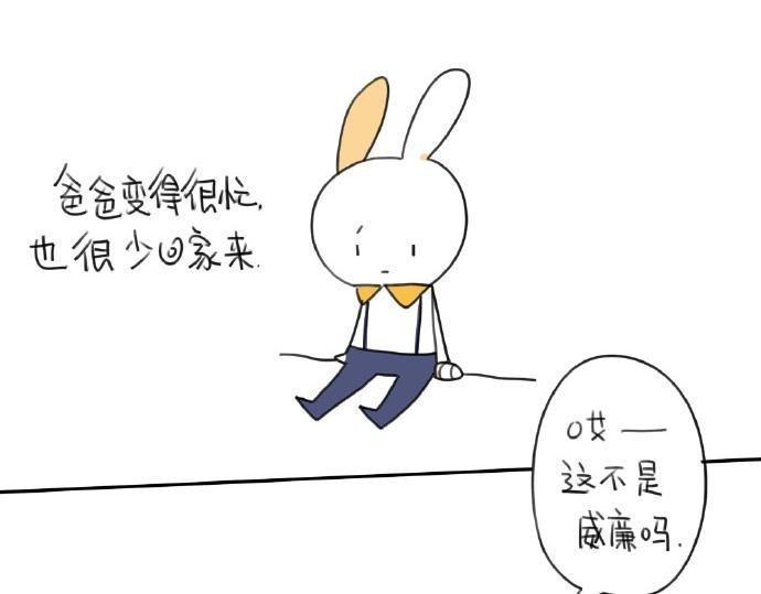 第15话：生活总有那么一点..
