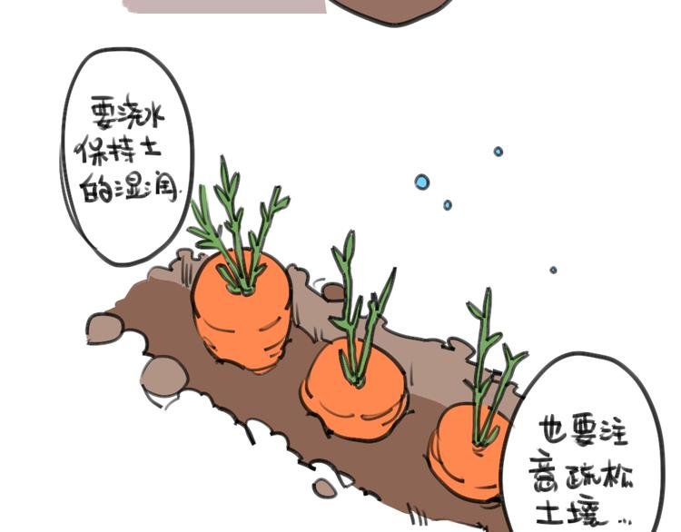 第24话：本兔真是太惨了