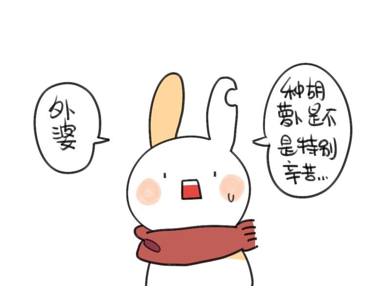 第24话：本兔真是太惨了