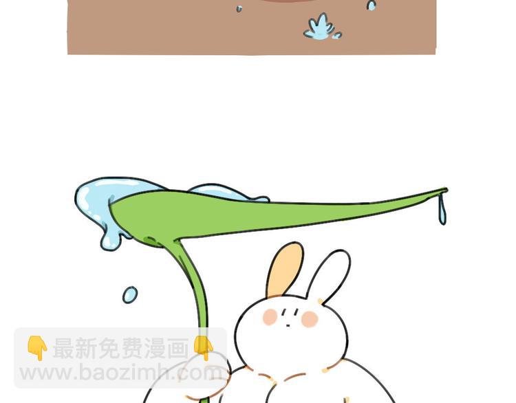 第40话：雨天不怕，我有花花
