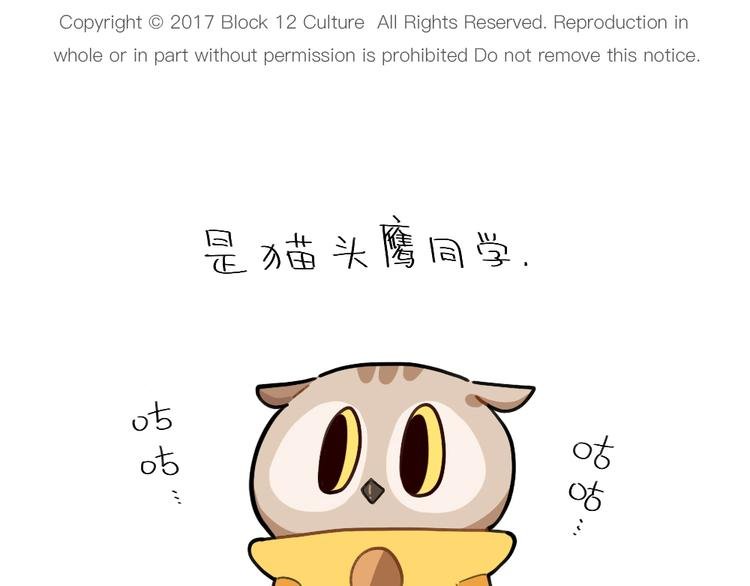第74话：学猫头鹰