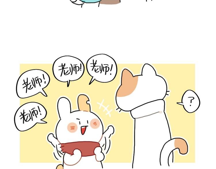 第84话：猫是一种液体