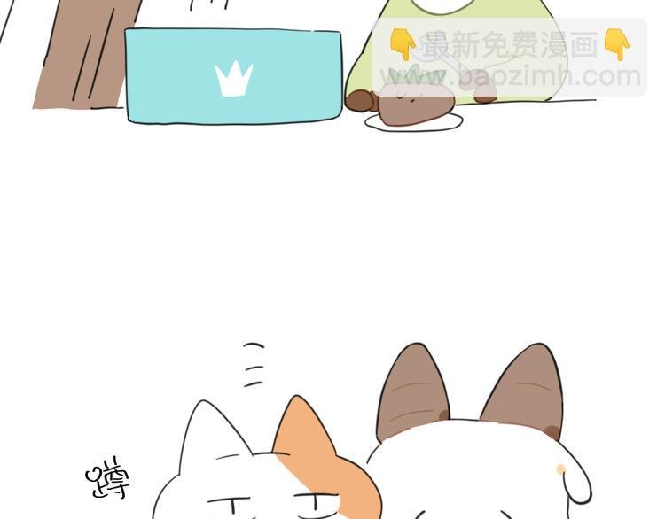 第93话：猫是一种神奇的生物