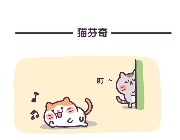 第1话 怎样做猫咪便当