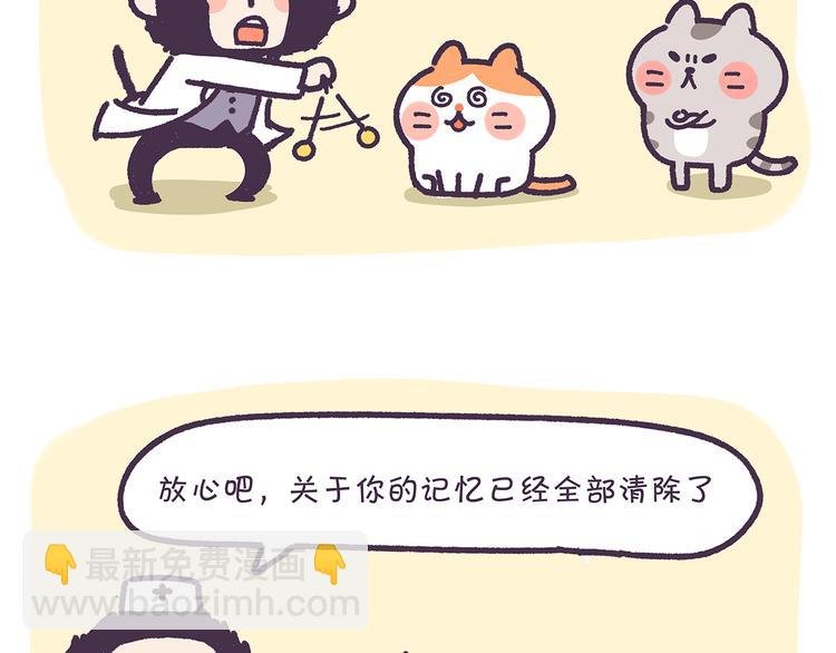 第13话 催眠