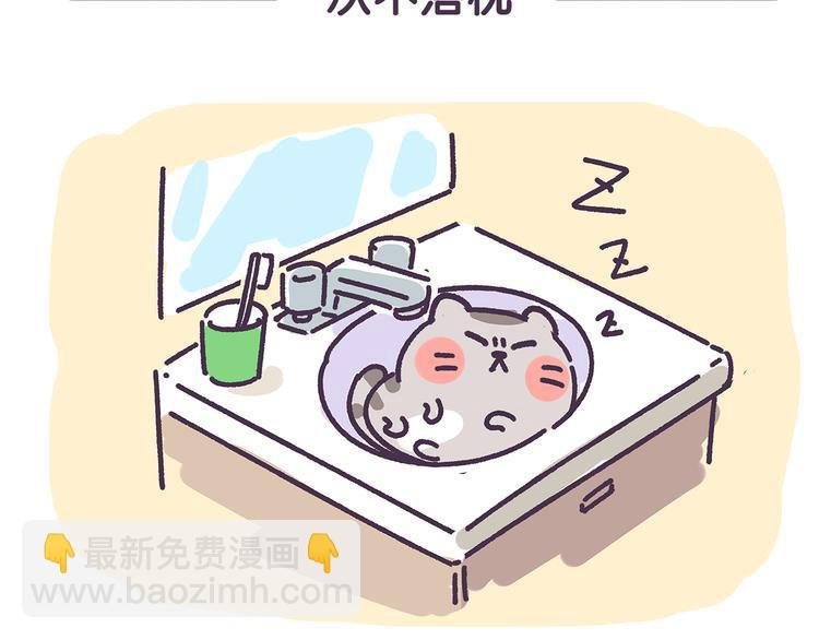 第15话 养猫人才懂的无奈差异