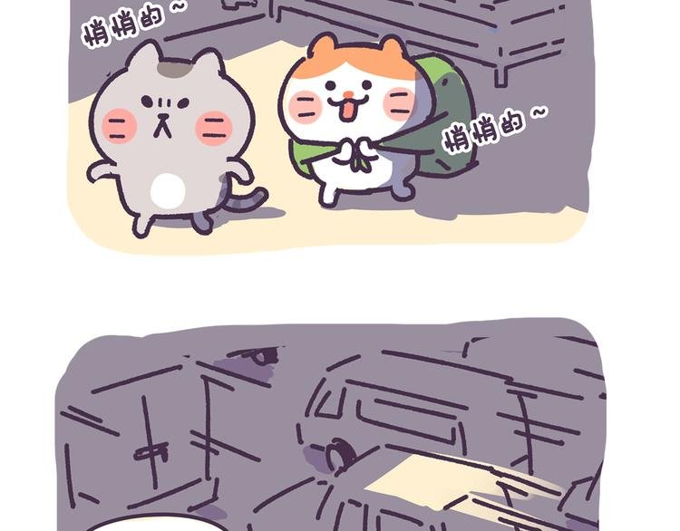 第2话 猫咪历险记