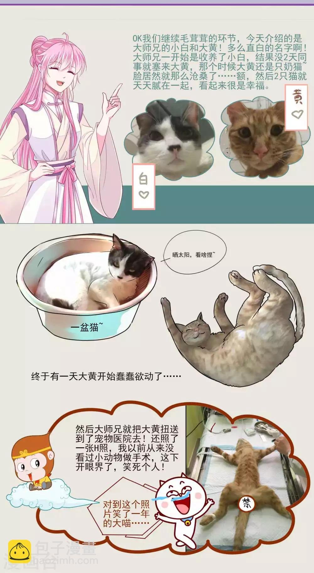 第54话 不寻常的夜晚