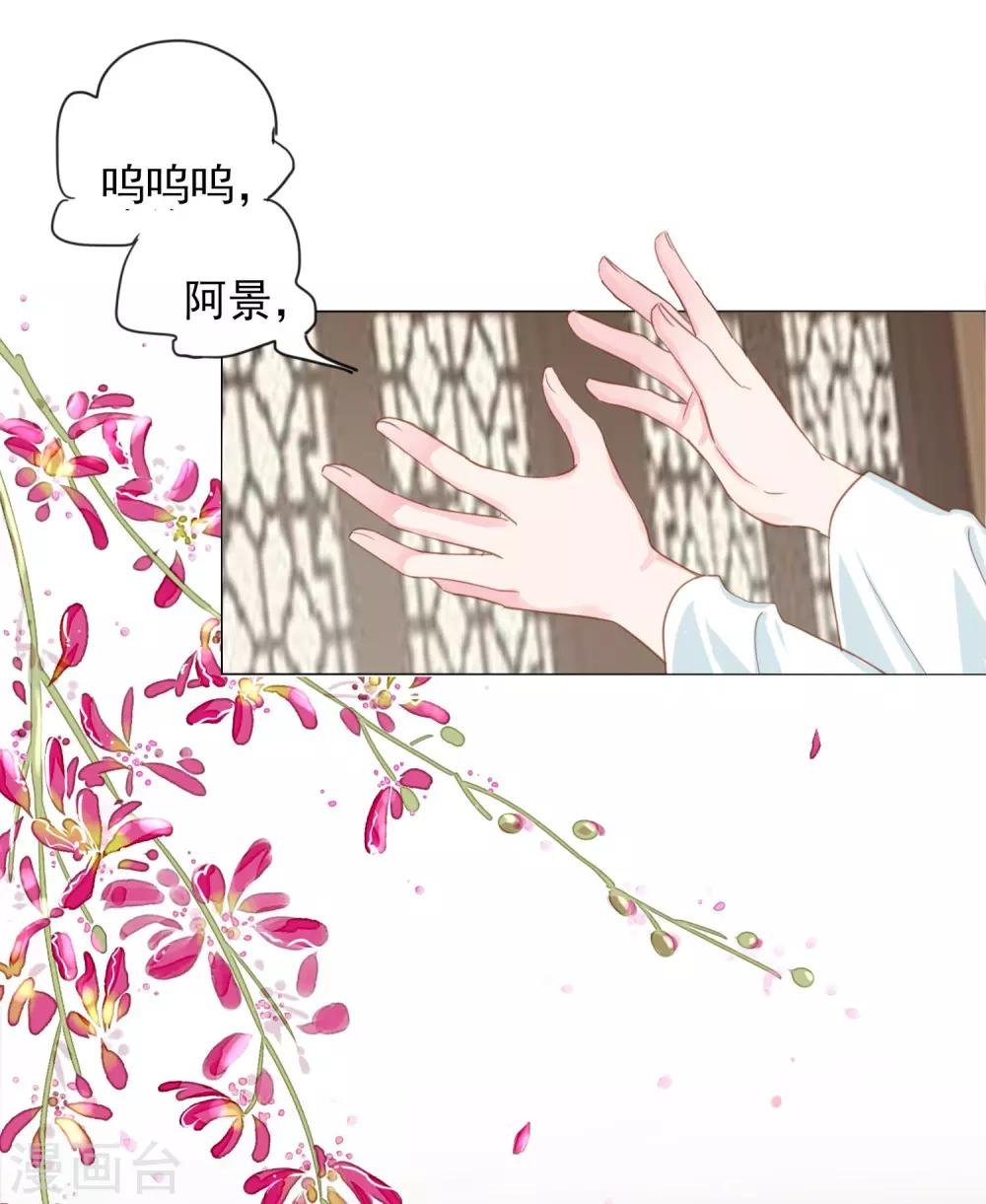 第70话 此生，我都会保护好你的
