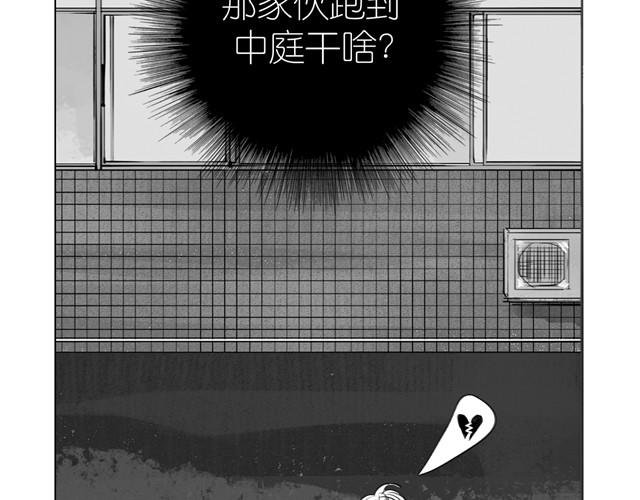 第14话 范宁，你家基因真好！